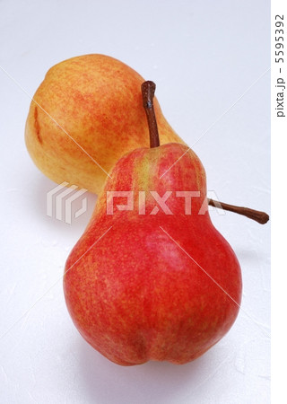 西洋なし 西洋なし 5595392