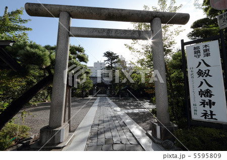 八剱八幡神社（木更津市） 5595809