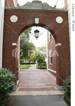 ハーバード大学周辺 5595813