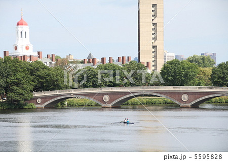 ハーバード大学周辺 5595828