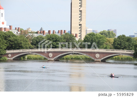 ハーバード大学周辺 5595829