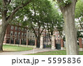 ハーバード大学周辺 5595836