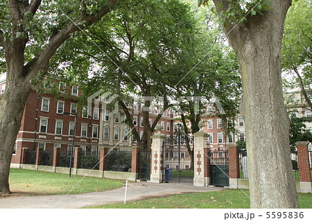 ハーバード大学周辺 5595836