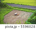 日本の風景 5596028