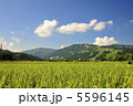 日本の風景 5596145