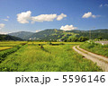 日本の風景 5596146