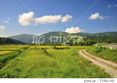 日本の風景 5596146