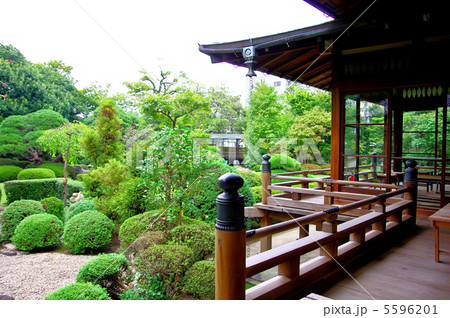 柴又帝釈天の邃渓園 柴又帝釈天の邃渓園 5596201