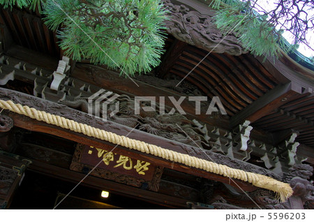 柴又帝釈天 5596203