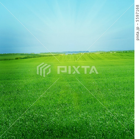 summer landscape summer landscape 5597168