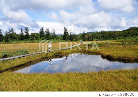 神仙沼の木道 5598020