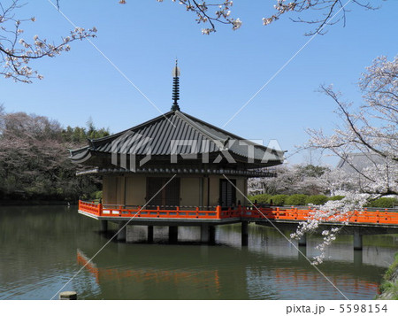 安部文殊院 仲麻呂堂 金閣浮御堂 安部文殊院 仲麻呂堂 金閣浮御堂 5598154