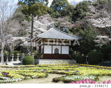 安部文殊院 不動堂 安部文殊院 不動堂 5598272