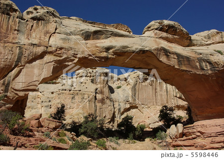 ヒックマン・ブリッジ(Hickman Bridge) in キャピトル・リーフ国立公園 5598446