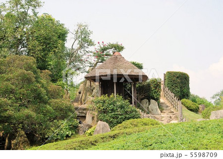 岡山市後楽園の唯心堂夏景色 5598709