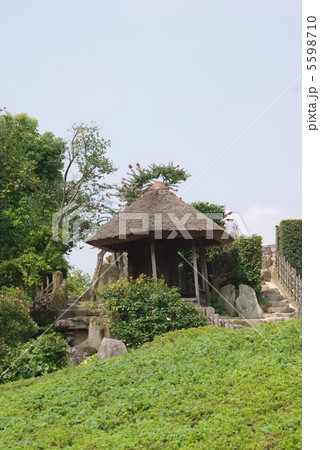 岡山市後楽園の唯心堂夏景色 5598710