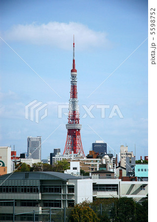 東京タワーと青空 5598752