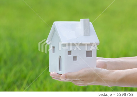 ミニチュアハウス 5598758
