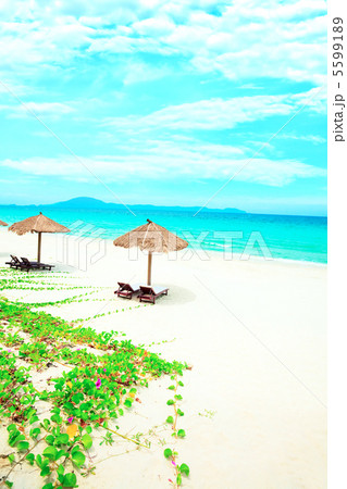 Sandy tropical beach 5599189