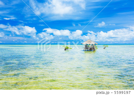 Seascape 5599197