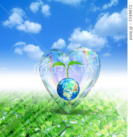 ハートの中にある地球の若葉 5599672