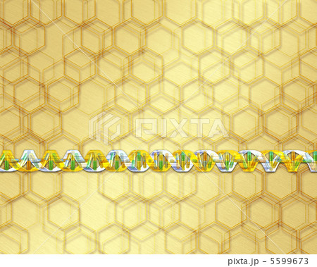 DNA・遺伝子配列イメージ DNA・遺伝子配列イメージ 5599673