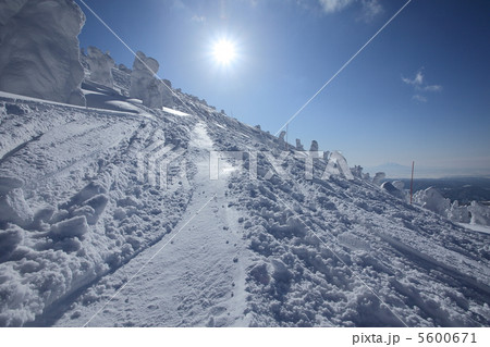 八甲田山の樹氷 八甲田山の樹氷 5600671