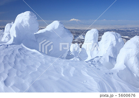 八甲田山の樹氷 5600676