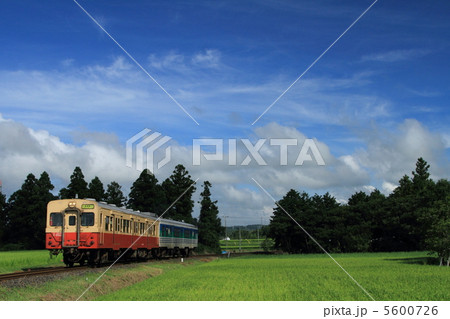 久留里線　気動車 5600726