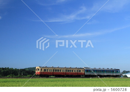 久留里線　気動車 5600728