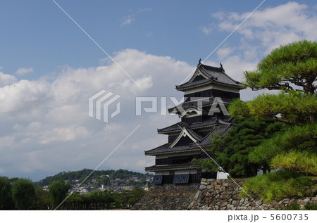 松本城 5600735