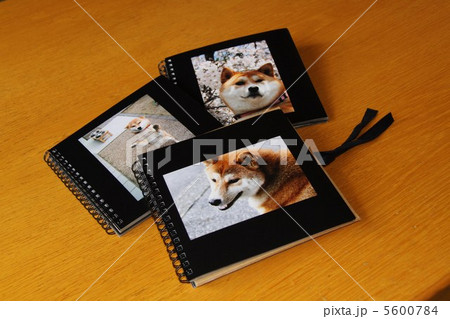 柴犬のフォトブック 5600784