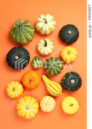 かぼちゃ 5600867