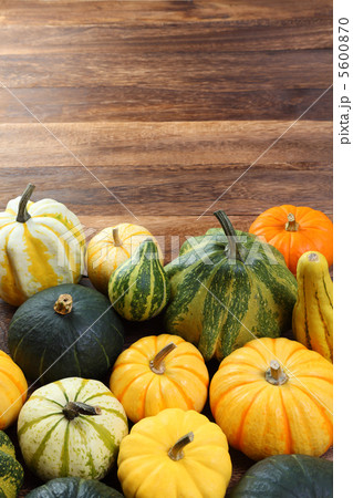 かぼちゃ 5600870