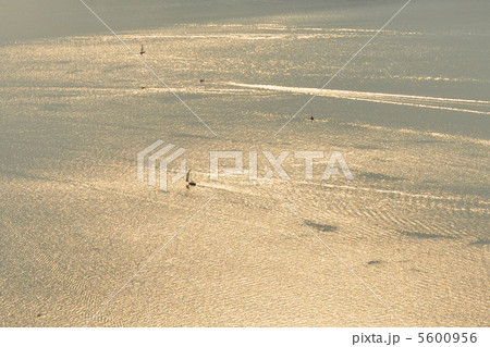 夕日に照らされた湖 5600956