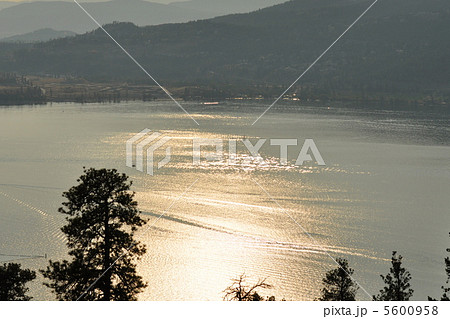 夕日に照らされた湖 5600958