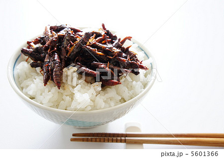 イナゴの佃煮 イナゴの佃煮 5601366