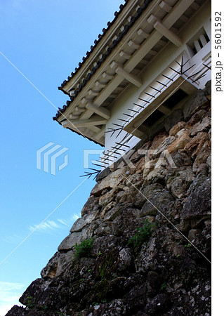 高知城天守閣の石落し　土佐　高知県　山内一豊 5601592