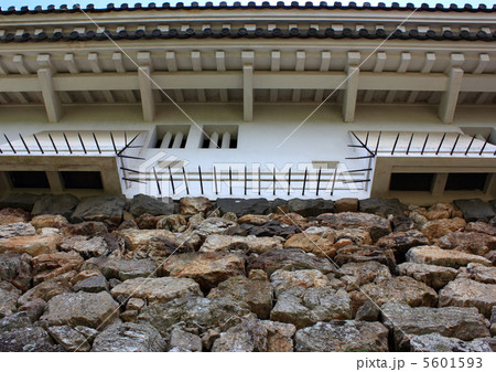 高知城天守閣の石落し　土佐　高知県　山内一豊 5601593