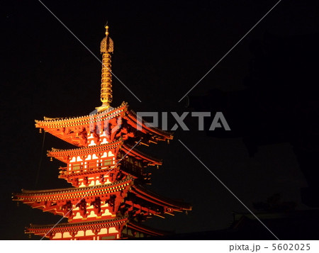 薬師寺西塔　ライトアップ 5602025