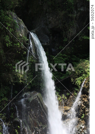 滝 滝 5602074