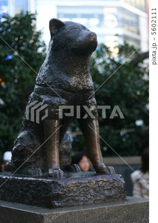 忠犬ハチ公像 忠犬ハチ公像 5602111
