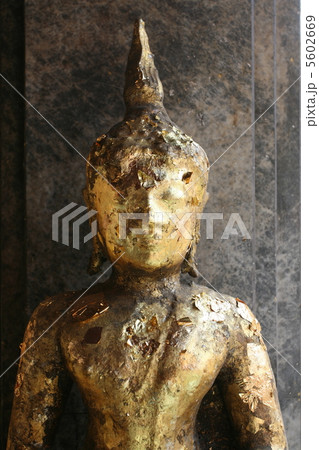 Buddha Buddha 5602669