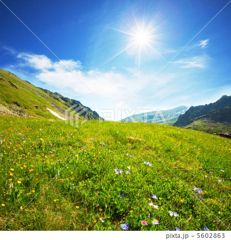 Mountain meadow Mountain meadow 5602863