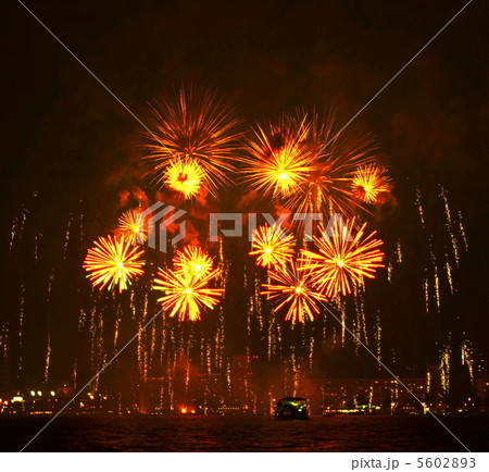 Firework 5602893