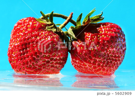 Strawberry on blue Strawberry on blue 5602909
