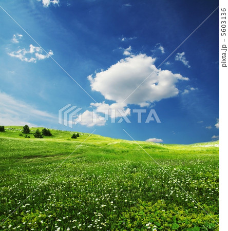 Field and clouds Field and clouds 5603136