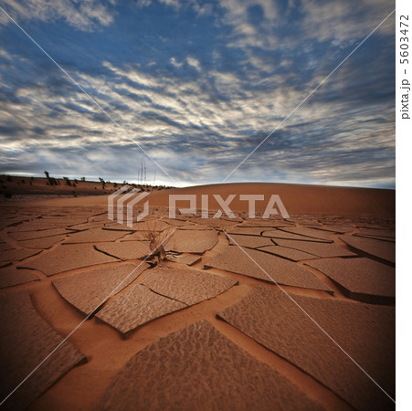 Drought land Drought land 5603472