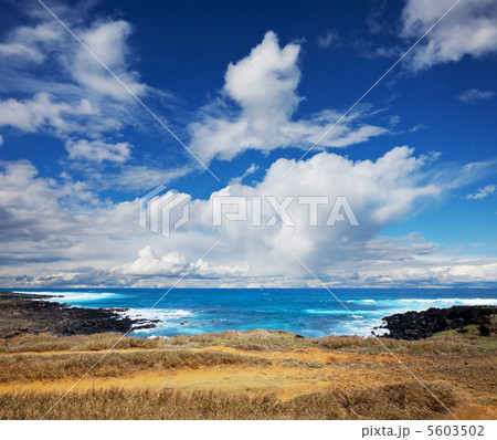 Hawaii Hawaii 5603502