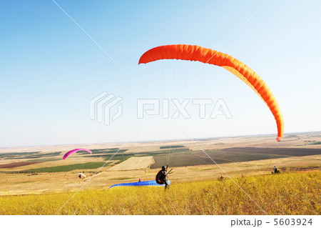 Paragliders 5603924